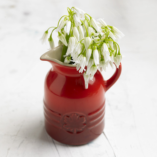 Le Creuset - Syrup Jar
