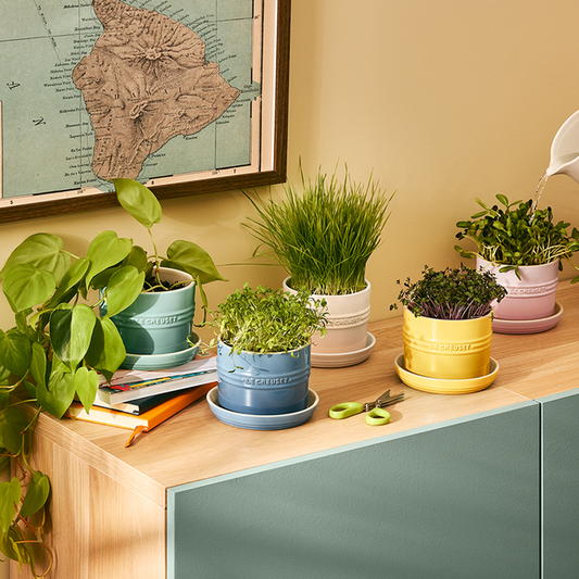 Le Creuset - Herb Planter