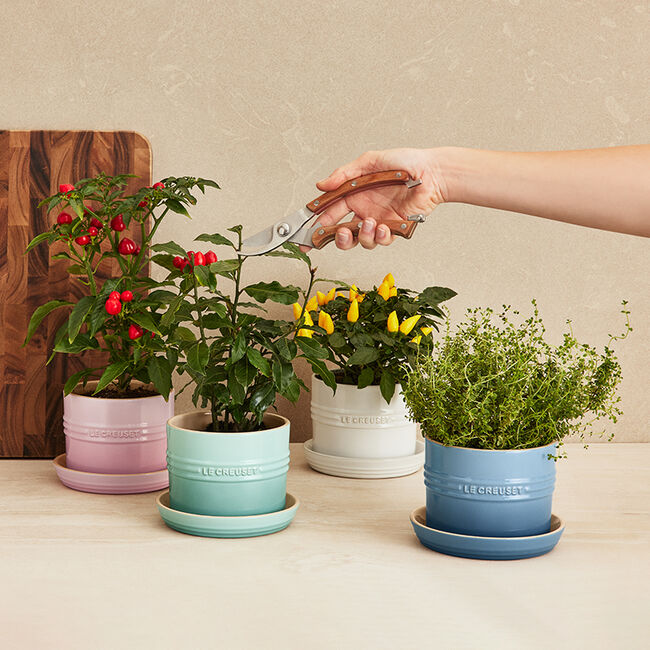 Le Creuset - Herb Planter