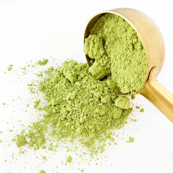 SLOANE Matcha Premium Grade - small