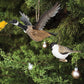 Flying Canada Goose Ornament