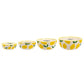 Lemons Ceramic Tabletop Decorative Series: Handled Tray Dish