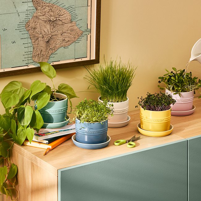 le creuset plant pot Le Creuset Herb Planter